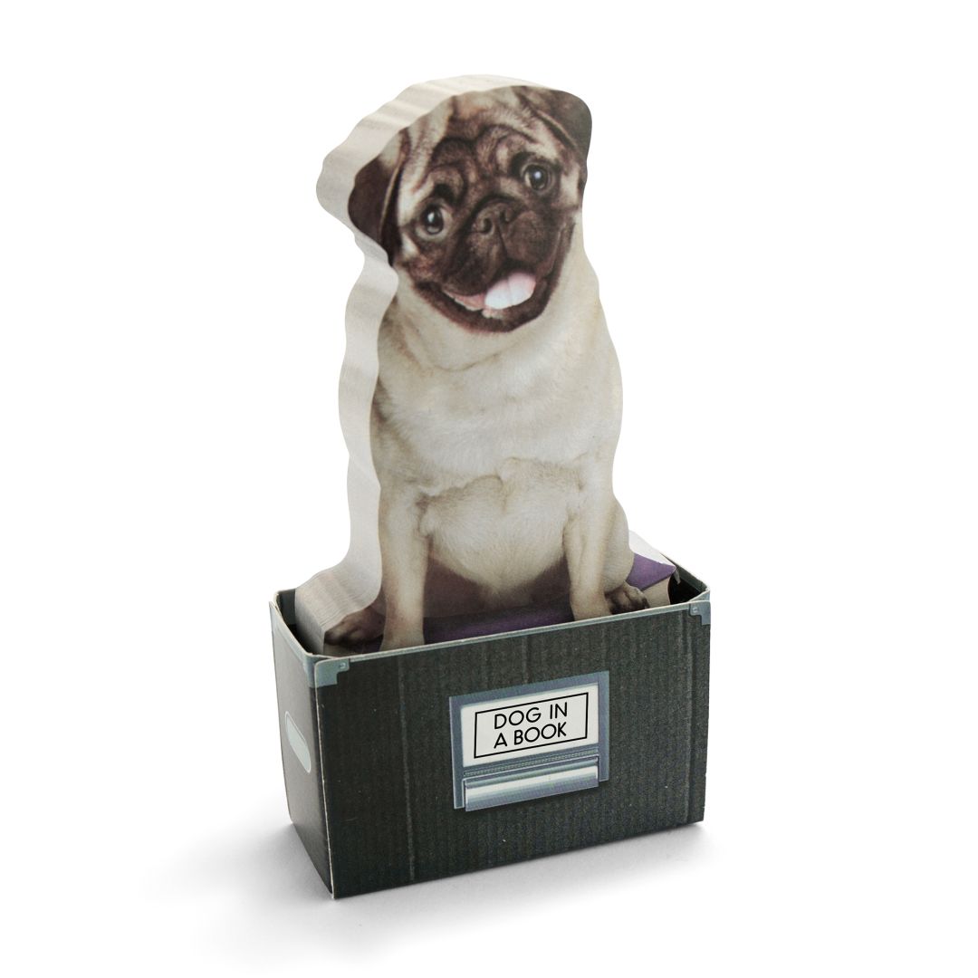 Самозалепващи листчета Куче в кутия, 150 бр.